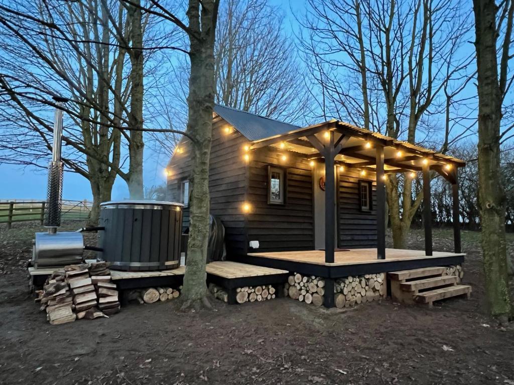 Luxury Woodland Lodge (Newport Pagnell)