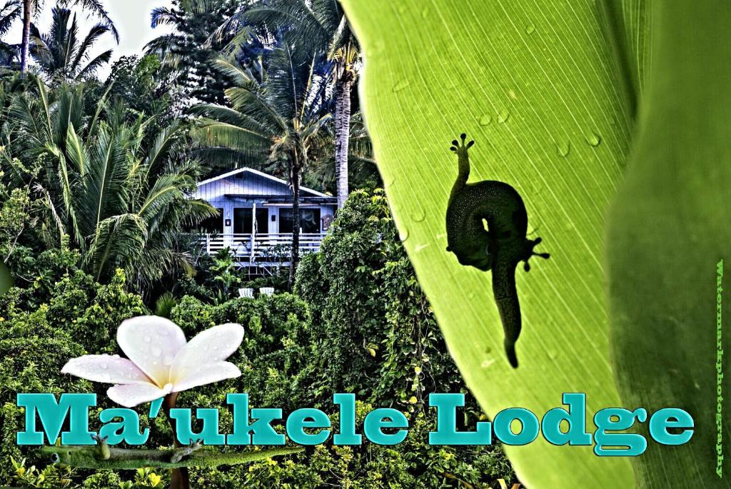 Ma'ukele Lodge (Pahoa)