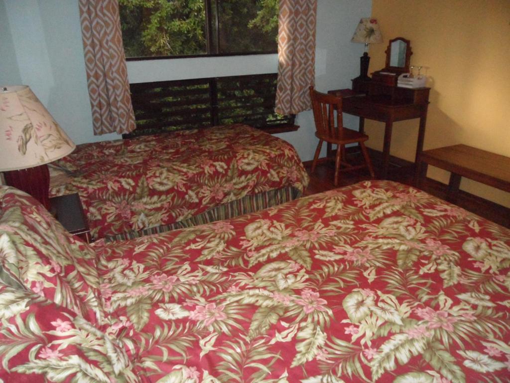 A Beautiful Edge of the World Bed & Breakfast (Captain Cook)