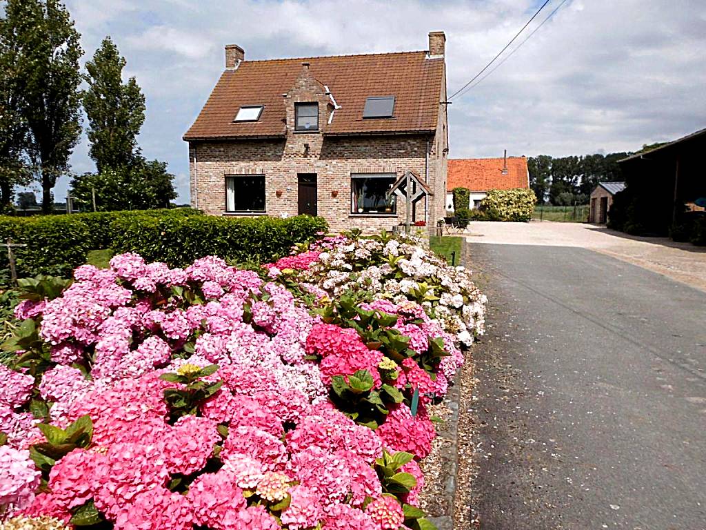 B&B Het Polderhof