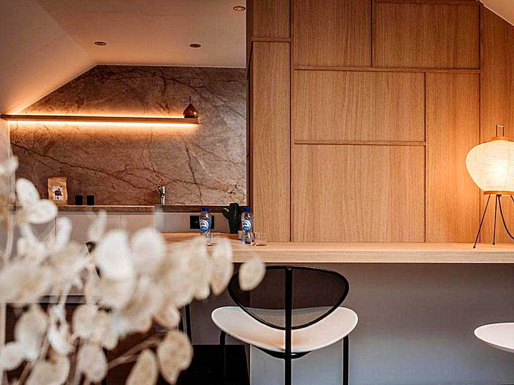 Luxe lodge - modern
