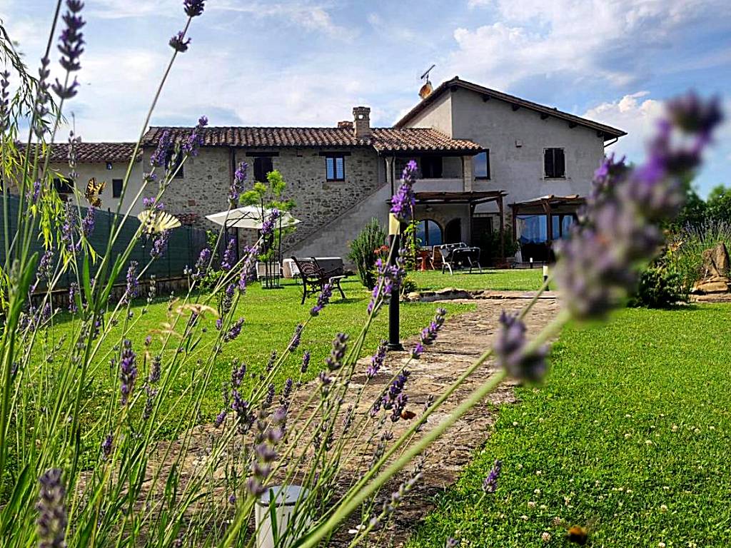 B&B Casale Mille e una Notte