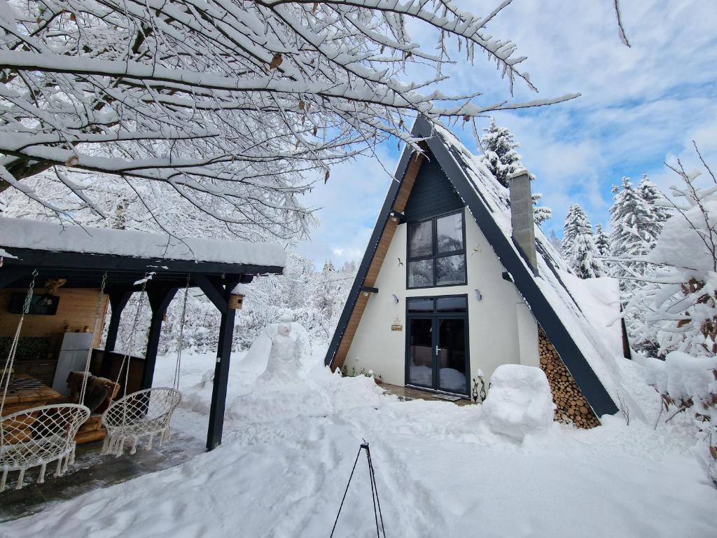 Forest A-frame Chalet