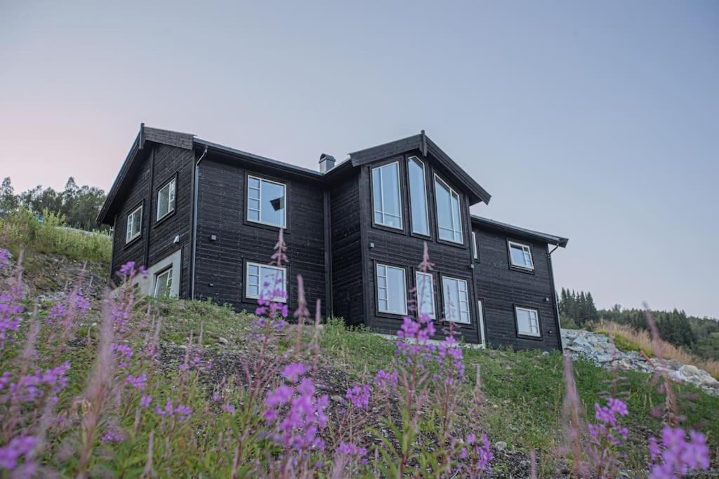 Hodlekvevegen 301 Ski in/out Mountain Cabin
