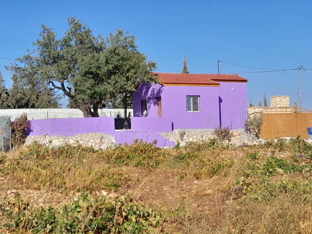 Jerash mountain chalet شاليه جبال جرش و عجلون