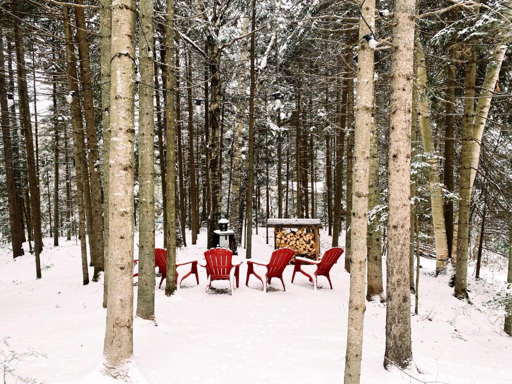 COZY CHALET WELL LOCATED