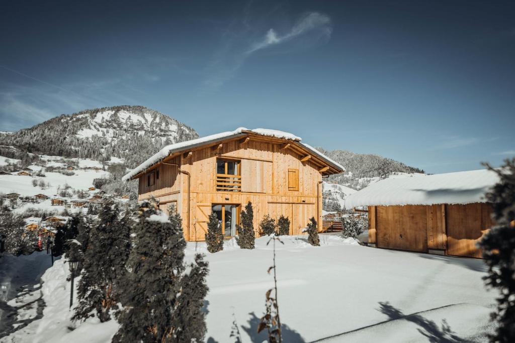 Magnificent Alpine Chalet combining charm and comfort