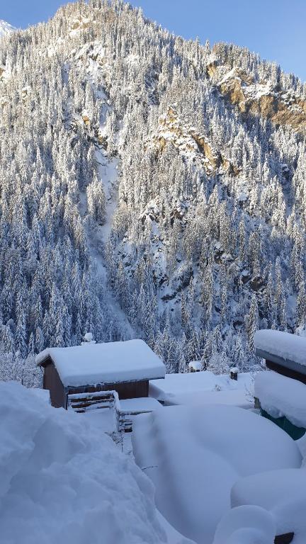 Chalet 1829