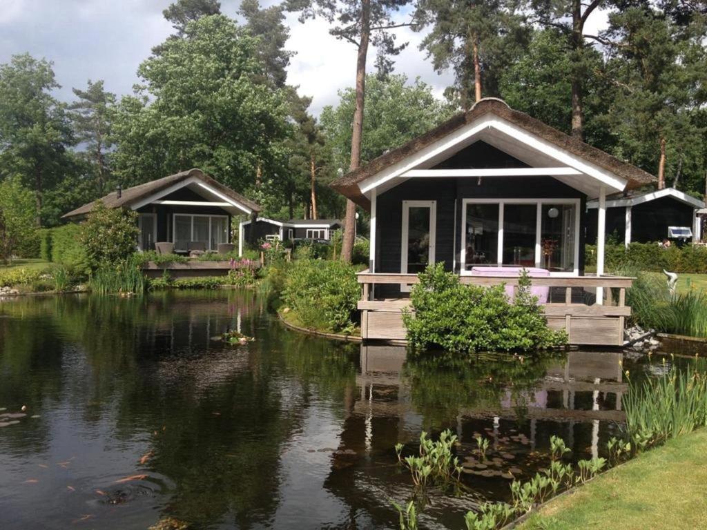 Atmospheric house on the water, surrounded by nature