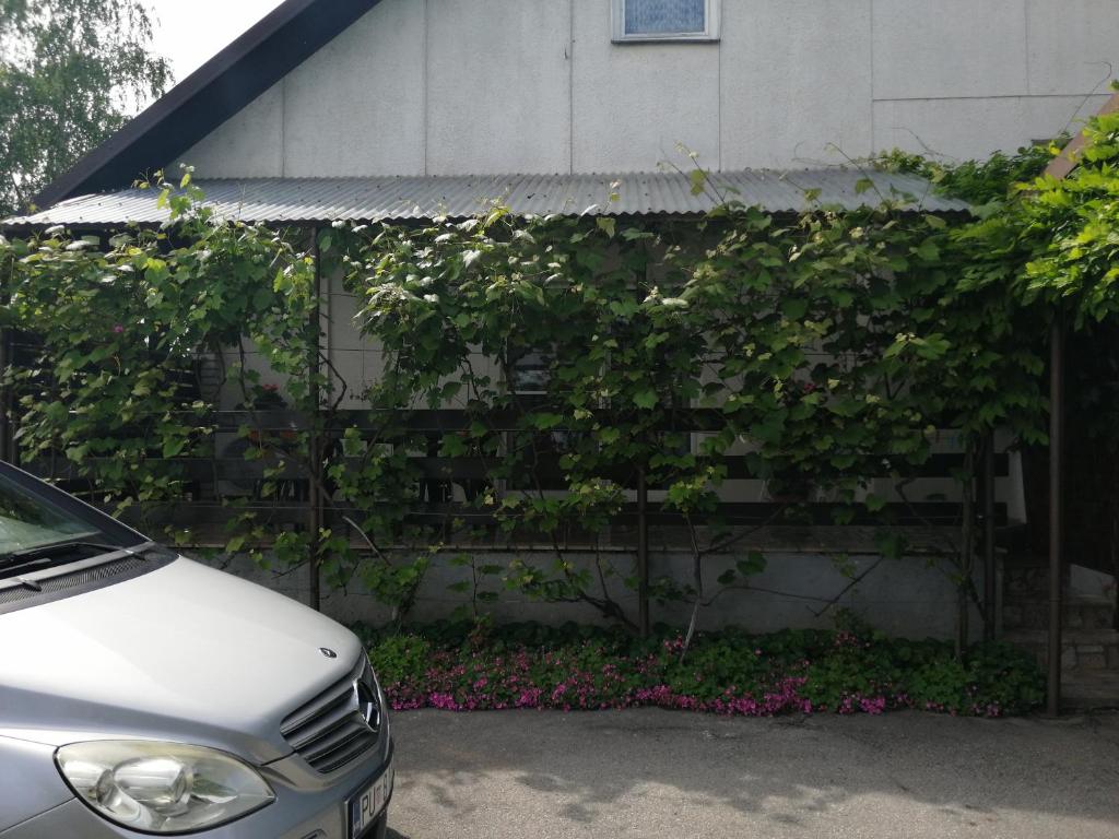 Apartman Sunce