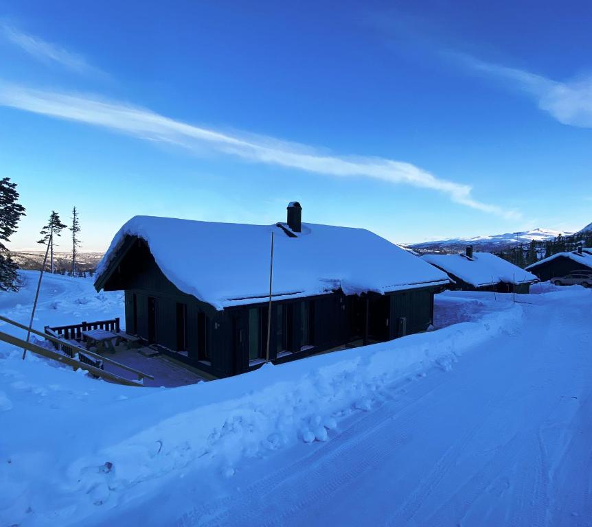 Modern och bekväm hytte nära Gaustatoppen, 3 sovrum 9 bäddar