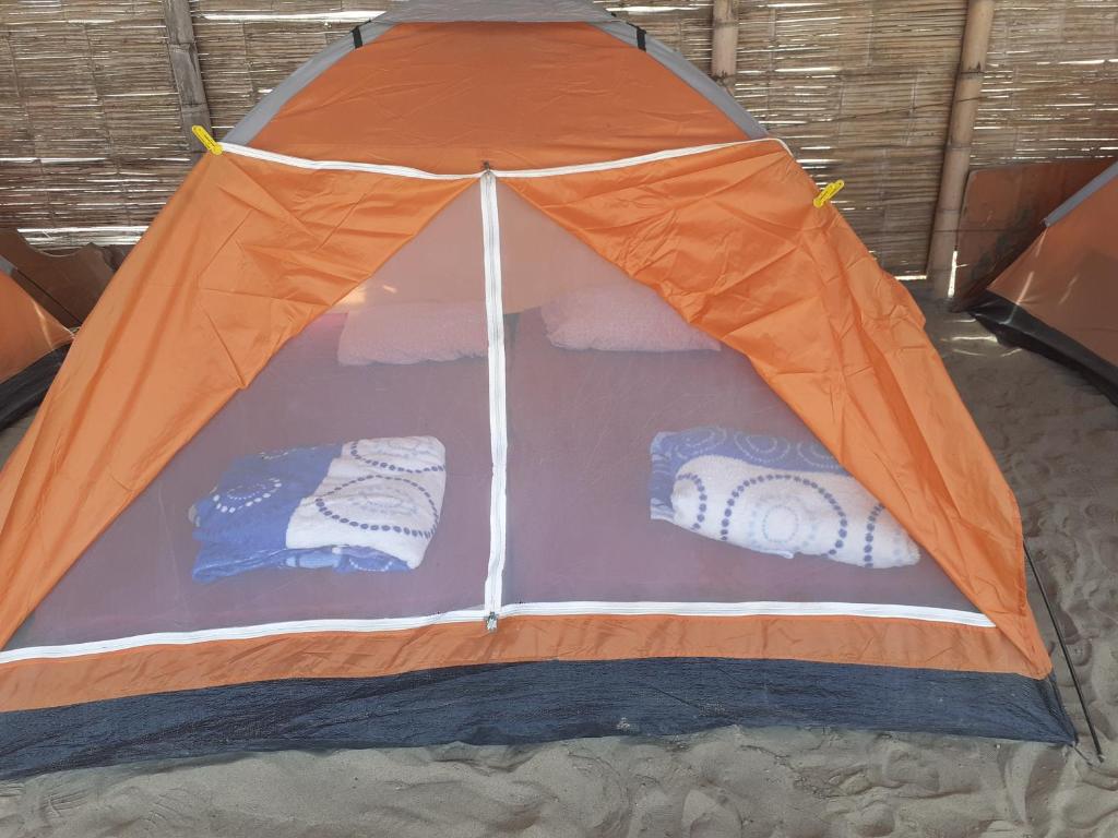 Pepon Surf Camp