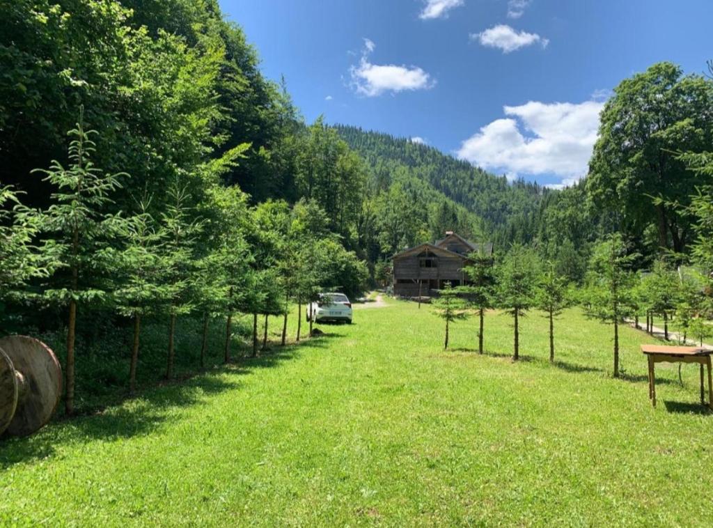 Villa Restaurant Mulliri