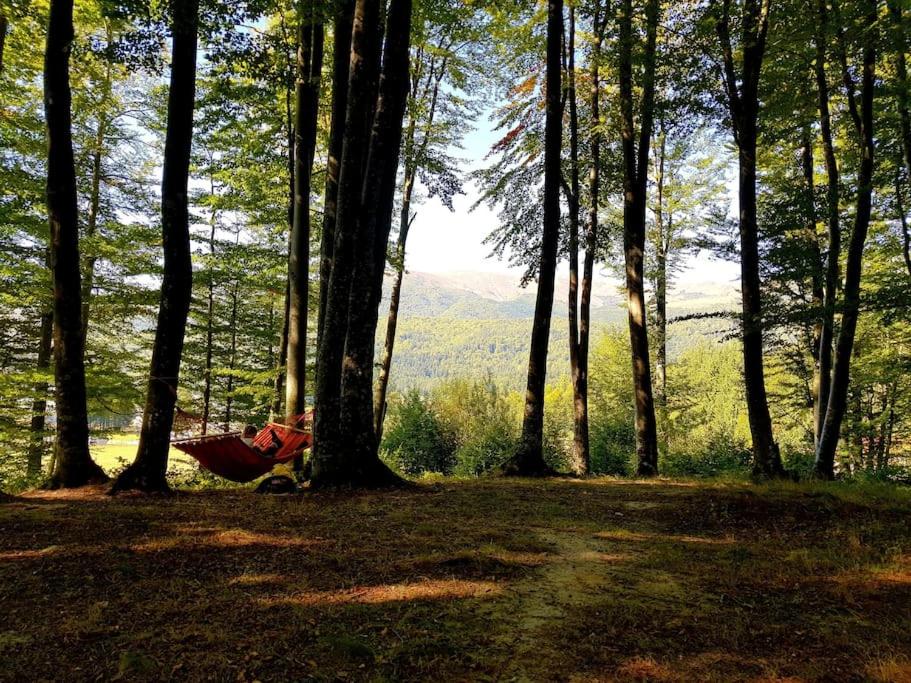 Cabana Cheia Fericirii - Forest Family Retreat