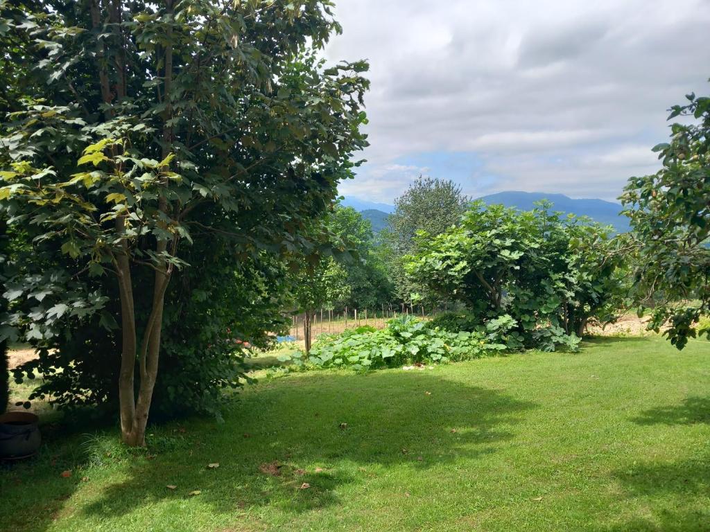 Maisonnette à la campagne Ariège