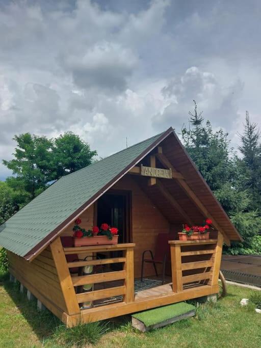 Căbănuță la Munte cu Piscină